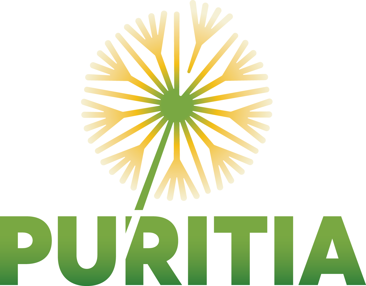 Puritia_primary_COLOUR